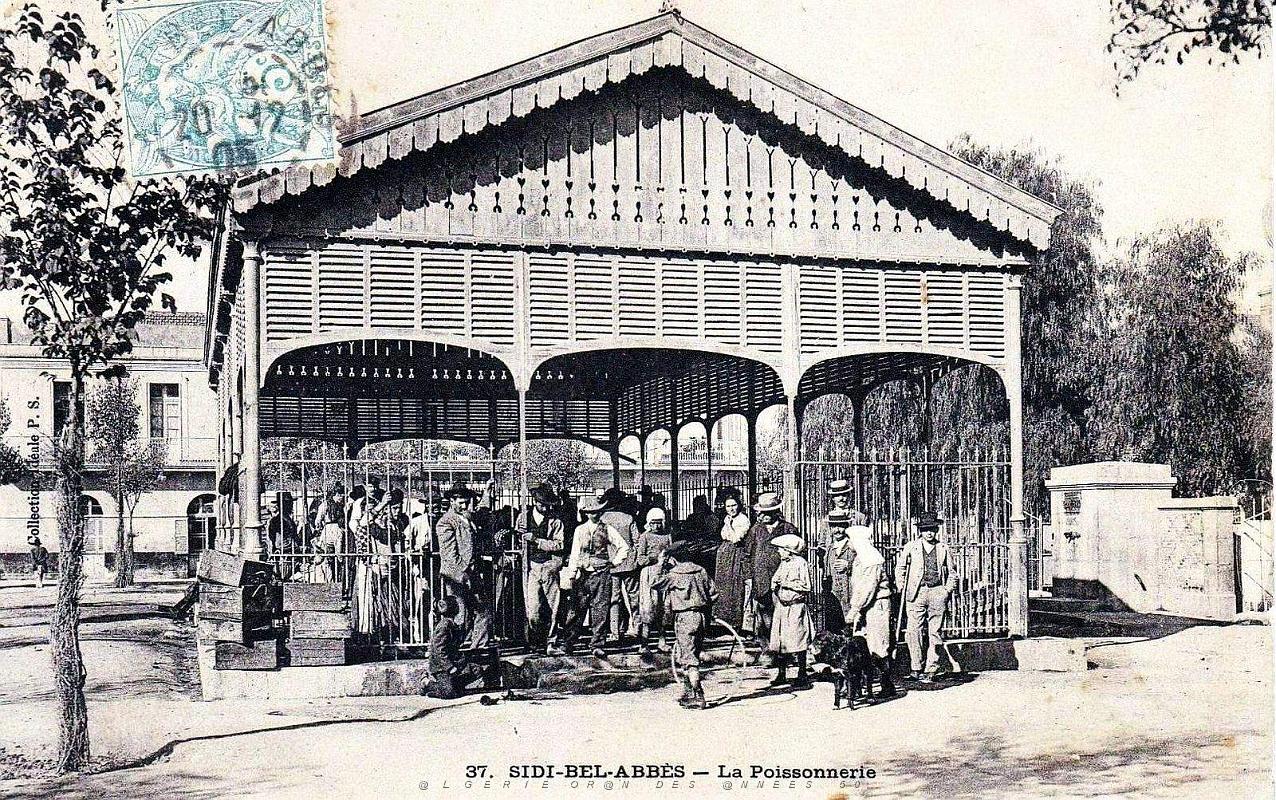 1961- Sidi-bel-Abbes - La Poissonnerie - 1905.jpg